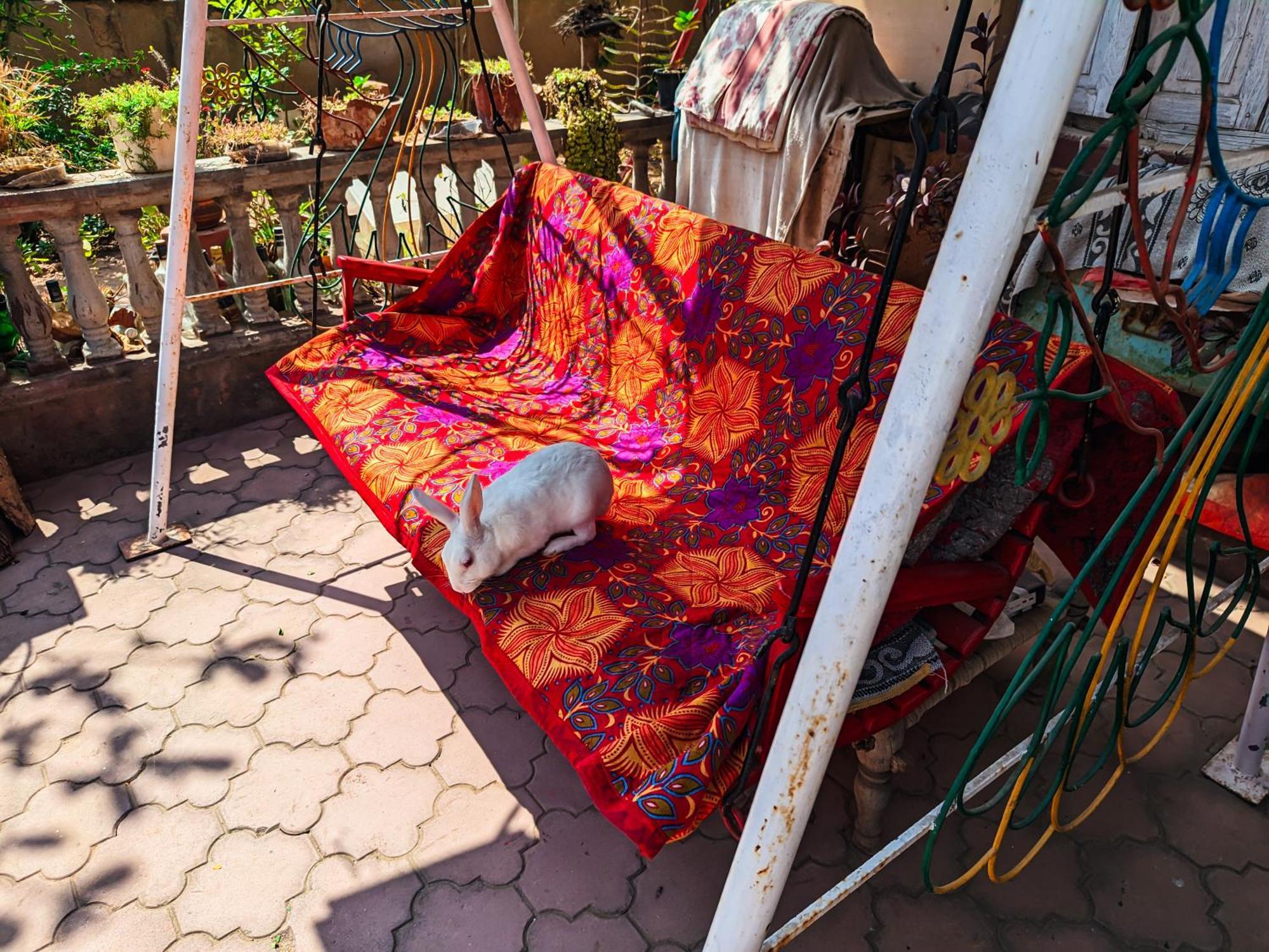 Jaat House Villa Bhuj Luaran gambar